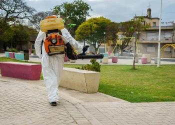 Dengue en Mendoza: por qué el ministro de Salud descarta la fumigación masiva