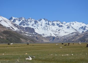 La Suprema Corte Provincial rechazó otro  reclamo de “pueblos originarios” por 3.500 hectáreas en El Sosneado