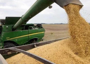 El Gobierno estima que en 2025 se duplicará el ingreso por retenciones