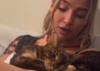 El desgarrador velorio del gatito de Brenda Asnicar: “Voy a extrañarte en todo momento»