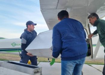 Comenzó una nueva campaña de liberación de moscas del Mediterráneo estériles