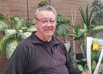 Las flores amarillas son la «vedette» de las florerías en estas vísperas de primavera