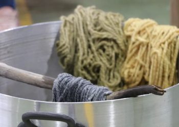 Mujeres sanrafaelinas expusieron sobre el teñido de lanas con “plantas tintoreras” a otras hilanderas del país