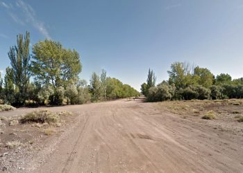 Vecinos de El Nihuil trabajan para revalorizar la flora autóctona del distrito