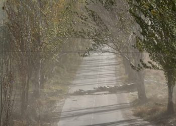 El Zonda continúa azotando a Mendoza:   suspensión de clases en toda la provincia para los turnos vespertino y nocturno