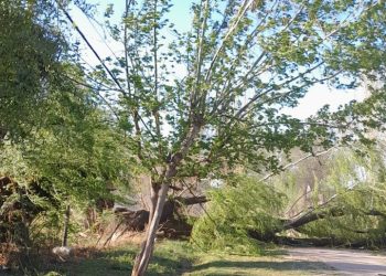 El intenso viento Zonda causó importantes daños en diferentes puntos de San Rafael