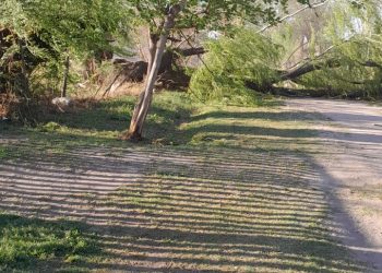 El intenso viento Zonda causó importantes daños en diferentes puntos de San Rafael