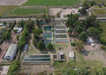 Nación dice buscar “alternativas” para terminar las obras en la Planta Potabilizadora y la Cloacal