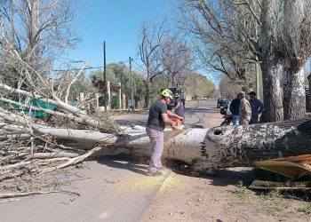 Zonda: ráfagas intensas, incendios, árboles caídos y vecinos irresponsables