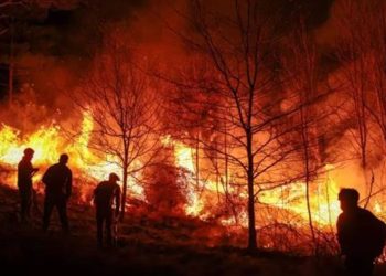 Una ONG internacional intima a la Argentina por su inacción en los incendios forestales
