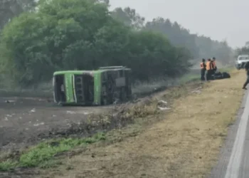 Siniestro vial trágico en Argentina: cuatro muertos por el choque de un micro de larga distancia con un auto