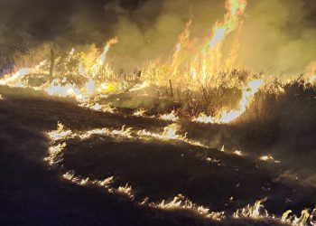 Colonia Elena: Iniciaron un incendio, quisieron impedir el accionar de bomberos y terminarán imputados