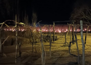 Heladas Tardías: En Villa Atuel el termómetro bajó hasta -5 grados