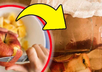 Los múltiples beneficiosos de la cáscara de manzana