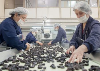 Buscan mejorar la competitividad de la ciruela del sur mendocino en India, China y la Unión Europea