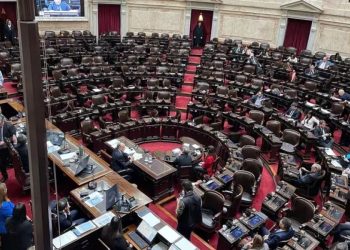 En el primer semestre de 2024, los diputados usaron el triple de pasajes que en 2023