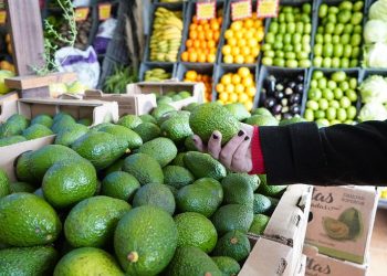 Insólito: entró a robar una verdulería y la empleada lo dejó encerrado hasta que volvió con la policía