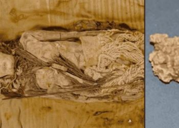 El queso más antiguo del mundo fue hallado en momias chinas de 3500 años