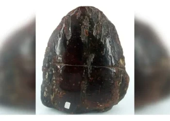 De no creer:  trababa la puerta de su casa con una piedra preciosa de 1 millón de euros