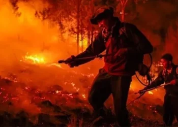 Bolivia declara desastre nacional por incendios forestales