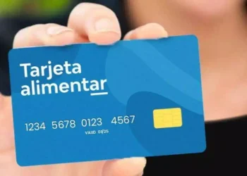 AUH y Tarjeta Alimentar: cómo saber si cobro en noviembre de 2024