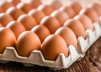 Cuál es el lugar ideal para guardar los huevos y que no se pudran