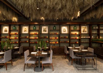 Mendoza, coronada de estrellas Michelin: todos los restaurantes premiados en la provincia