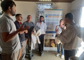 Destacan a San Rafael como zona privilegiada para producir “abejas reinas”