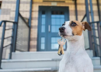 Alquiler en Mendoza: el cambio que celebran los dueños de mascotas