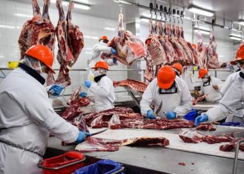 Las exportaciones de carne vacuna subieron casi 24% en agosto