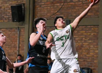 Las posiciones en las distintas categorías del básquet sureño