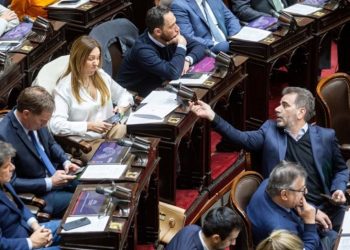 Congreso: El PRO se encamina a dividirse en la sesión por el financiamiento universitario