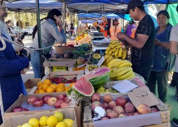 La Feria Franca Municipal: productos frescos, calidad local y precios accesibles