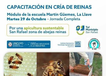 Nueva capacitación en cría y multiplicación de abejas “reina”