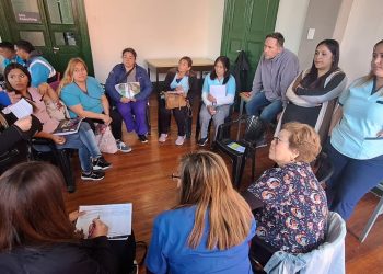 Certificado Único de Discapacidad: formación para profesionales de las Juntas Evaluadoras del Sur