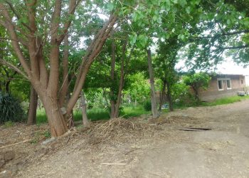 Caso Tapia: ¿se debilita la teoría del homicidio?