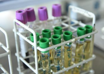 Reglamentaron la ley que regula y controla la investigación en farmacología clínica en Mendoza