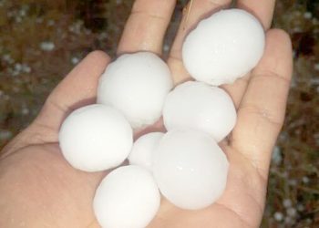 La tormenta de granizo en Valle de Uco provocó daños considerables en zonas cultivadas