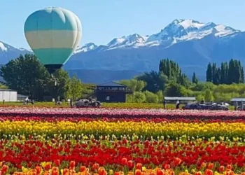 Más romántico, imposible: le propuso casamiento en un vuelo en globo sobre un campo de tulipanes