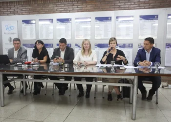 Obra pública y promoción de inversiones: Jimena Latorre presentó el presupuesto de Ambiente y Energía