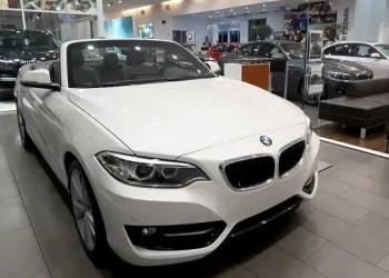 Autos importados: por qué la reducción de plazos de pagos al exterior ya se aprecia en la oferta y los precios