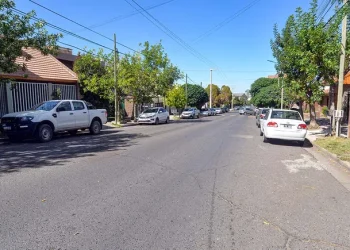 Neuquén: La explicación de un juez para no condenar al padre del nene de 3 años que murió tras ser olvidado en un auto
