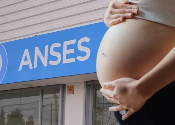 Fraude al Estado: denuncian 203 casos de embarazos falsos para cobrar una asignación