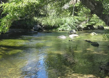 El dramático relato del comisario que intentó salvar al nene de dos años que murió ahogado en Chubut