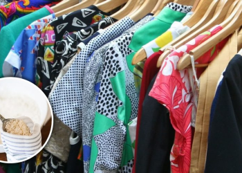 La solución definitiva para eliminar el olor a humedad en los armarios