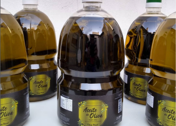 Siguen apareciendo aceites de oliva “falsos” rotulados en San Rafael