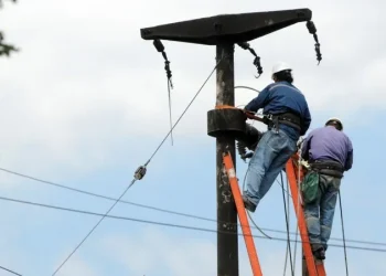 Una víbora dejó sin luz a un sector de un departamento de Mendoza