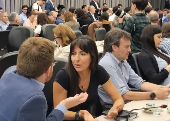 La mendocina que es clave en el dictamen para privatizar Aerolíneas Argentinas