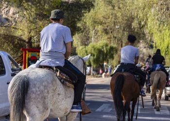 El promedio de “turismo extranjero” en San Rafael se ubica en el 4,5%