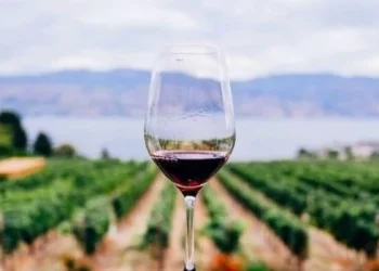 Crecieron las exportaciones de vino y el sector se prepara para repuntar aún más en 2025